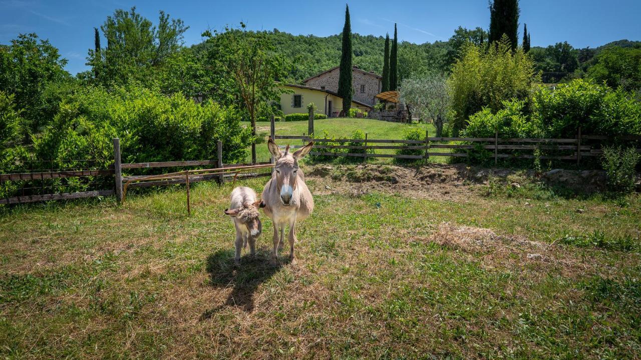 بيرودجا Agriturismo I Pietrini المظهر الخارجي الصورة